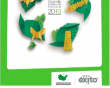 Informe 2010